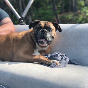 Meet your Posher, Nancy